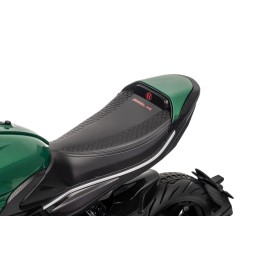 Pojazd Motor Ducati Diavel x Bentley Zielony