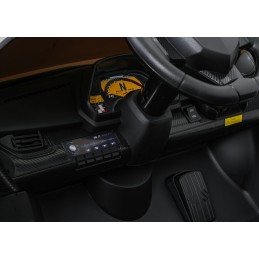 Pojazd Lamborghini Veneno Zielony